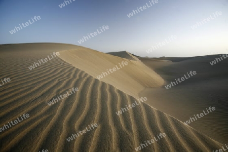 the Sanddunes at the Playa des Ingles in town of Maspalomas on the Canary Island of Spain in the Atlantic ocean.