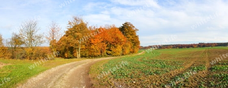 Herbstlandschaft mit Weg Panorama