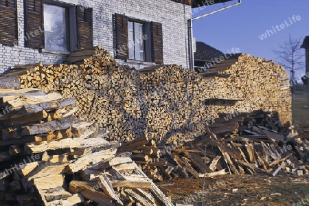 Holz vor dem Haus