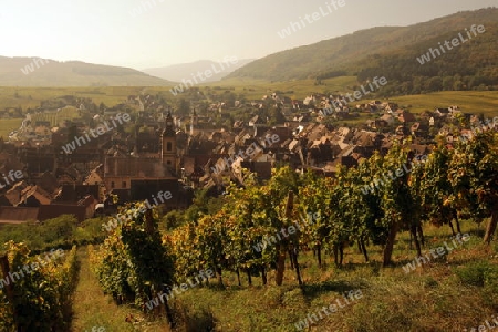 the olt town of the village of Riquewihr in the province of Alsace in France in Europe