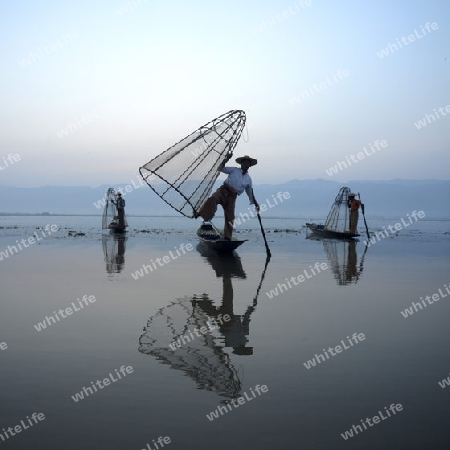 Fishermen at sunrise in the Landscape on the Inle Lake in the Shan State in the east of Myanmar in Southeastasia.