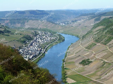 Briedel an der Mosel