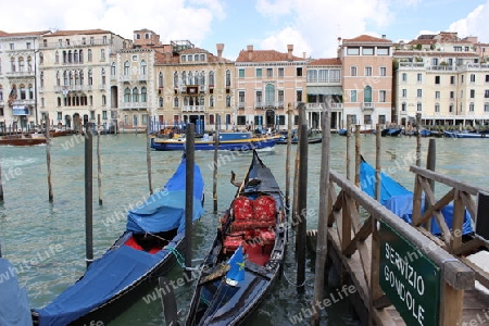 Gondeln am Canal Grande