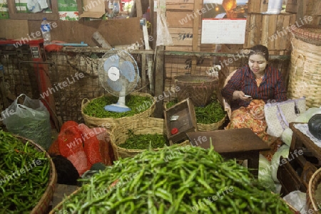 chili in a a fegetable market in a Market near the City of Yangon in Myanmar in Southeastasia.