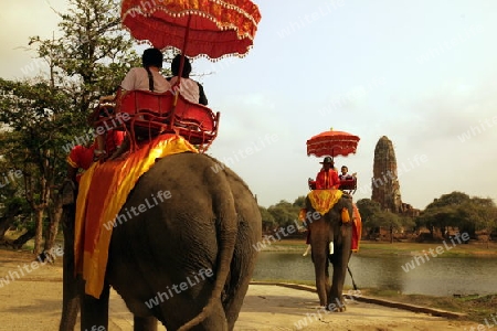 Ein Elephanten Taxi vor einem der vielen Tempel in der Tempelstadt Ayutthaya noerdlich von Bangkok in Thailand