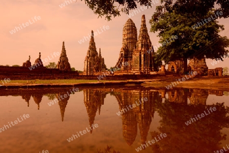 The Wat Chai Wattanaram Temple in City of Ayutthaya in the north of Bangkok in Thailand, Southeastasia.