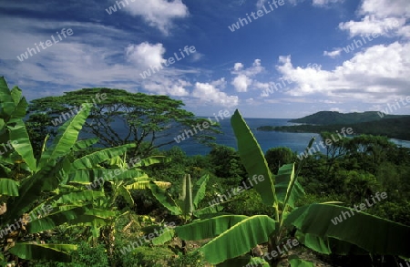 Die Landschaft bei Victoria auf der Insel Mahe der Inselgruppe Seychellen im Indischen Ozean in Afrika.