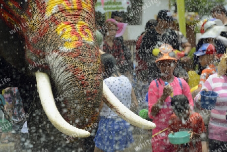 Das Songkran Fest oder Wasserfest zum Thailaendischen Neujahr ist im vollem Gange in Ayutthaya noerdlich von Bangkok in Thailand in Suedostasien.  