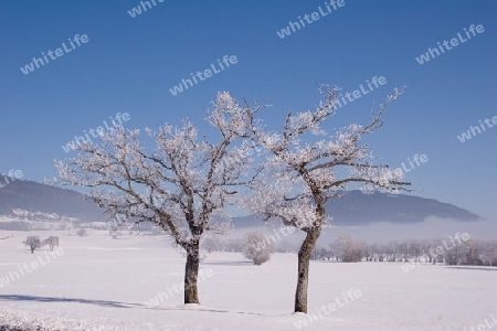 Winterlandschaft