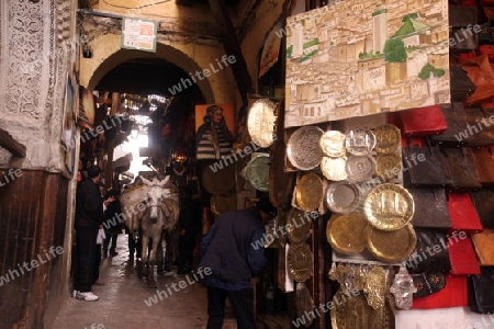 a smal Marketroad in the Medina of old City in the historical Town of Fes in Morocco in north Africa.