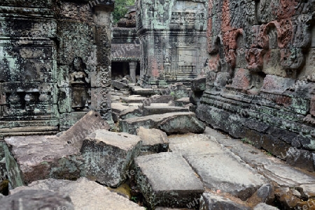 The Temple of  Ta Prohm in the Temple City of Angkor near the City of Siem Riep in the west of Cambodia.