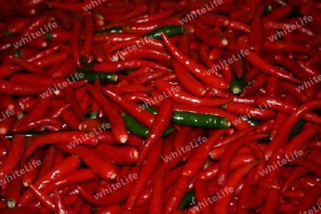 Chilli