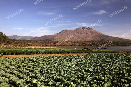 Asien, Suedost, Indonesien, Bali, Insel, Batursee, See, Lake, Gunung Batur, Berg Batur, Vulkan, Kratersee, Landschaft, Kedisan,  Landwirtschaft,   (Urs Flueeler) 