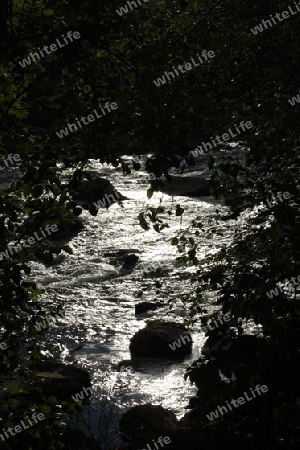 Lichtspiel auf dem Fluss, eingerahmt von den B?umen