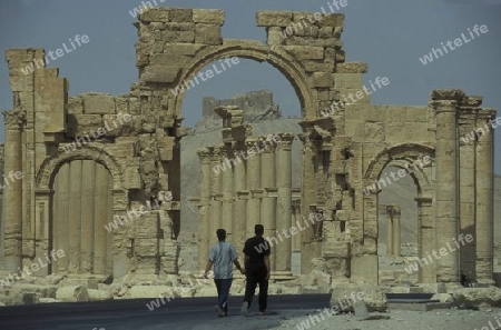 Die Ruinen von Palmyra in der Wueste Faydat in Syrien im Mittleren Osten in Arabien.