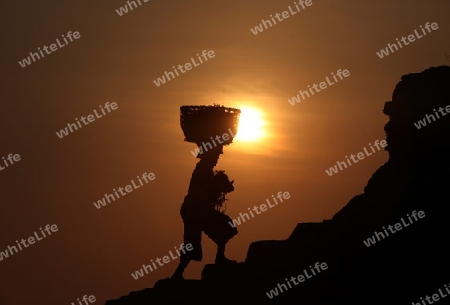 Asien, Indonesien, Bali, Nusa Lembongan, Seegras, Arbeit, Alltag,
Sonnenuntergang in der Seegras Plantage an der Kueste der Insel Nusa Lembongan bei Bali im osten von Indonesien.       (Urs Flueeler) 