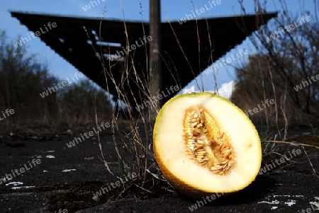 honeymelon on the road