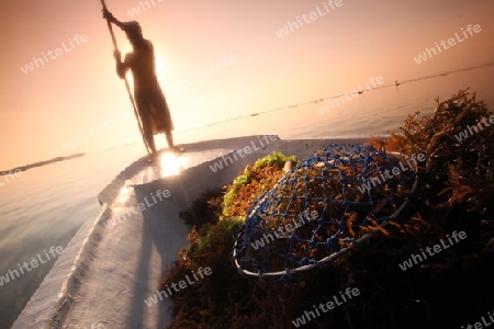 Die Ernte in der Seegrass Plantage auf der Insel Nusa Lembongan der Nachbarinsel von Bali, Indonesien.