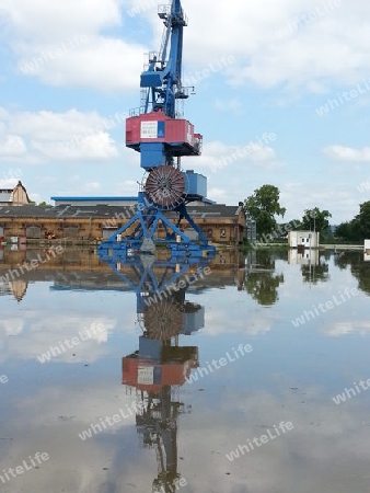 Spiegelung im Wasser