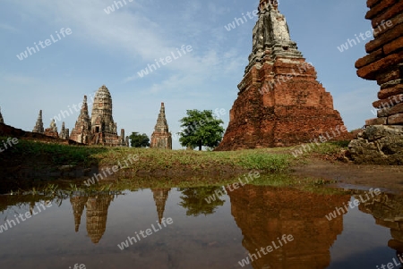 The Wat Chai Wattanaram Temple in City of Ayutthaya in the north of Bangkok in Thailand, Southeastasia.