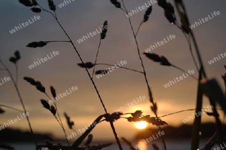 Sonnenuntergang