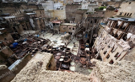 The Leather production in the old City in the historical Town of Fes in Morocco in north Africa.