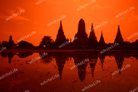 The Wat Chai Wattanaram Temple in City of Ayutthaya in the north of Bangkok in Thailand, Southeastasia.