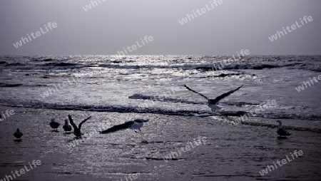 Abendstimmung an der Nordsee