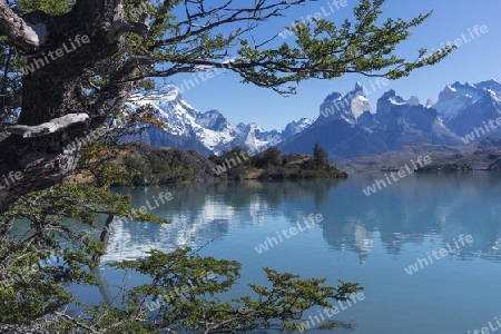 Tierra del Fuego