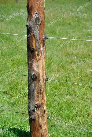 electrified fencing for farm cows and horses