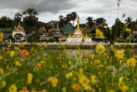 Der Tempel Wat Jong Kham und Jong Klang am See Nong Jong Kham im Dorf Mae Hong Son im norden von Thailand in Suedostasien.