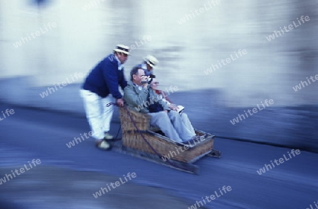 Europa, Atlantischer Ozean, Portugal, Insel, Madeira, Hauptstadt, Funchal, Korbschlitten, Taxi, Fahren, Schlitten, Transport, Touristen,  
Ein traditioneller Korbschlitten auf der Fahrt von Monte nach Funchal in der Hauptstadt Funchal auf der Insel M