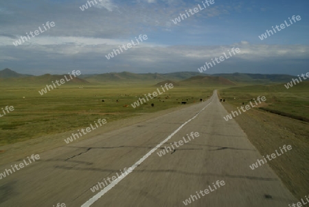 Strasse in der weiten Steppe