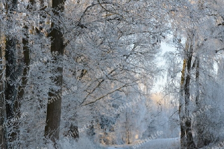 Winterlandschaft