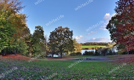 Beautiful high resolution panorama of a northern european country landscape with fields and green grass.