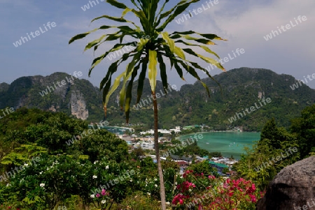 The view from the Viewpoint on the Town of Ko PhiPhi on Ko Phi Phi Island outside of the City of Krabi on the Andaman Sea in the south of Thailand. 