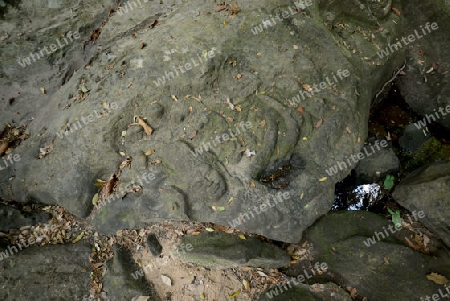 The Tempel Ruin of  Kbal Spean 50 Km northeast of in the Temple City of Angkor near the City of Siem Riep in the west of Cambodia.