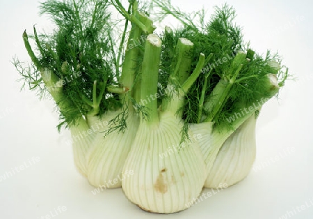 fenchel