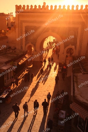 The blue Gate at the Bab Bou Jeloud in the old City in the historical Town of Fes in Morocco in north Africa.