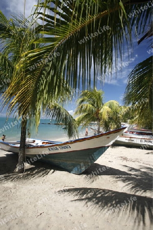 Suedamerika, Karibik, Venezuela, Isla Margarita, Pedro Gonzalez, Playa Pedro Gonzalez, Beach, Strand, Bucht, Fischerdorf, Fischerboot, Holzboot, Palmen, Ferien, Traumstrand, Idylle, Landschaft