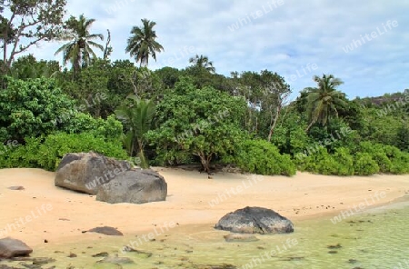 Sunny day beach view on the paradise islands Seychelles.