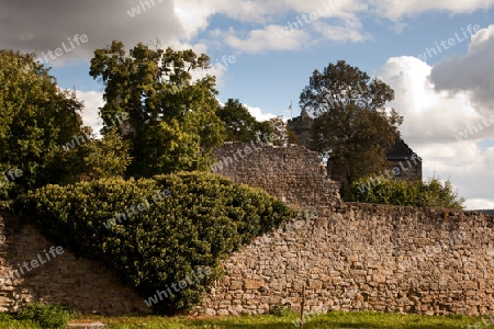 Burg Greifenstein