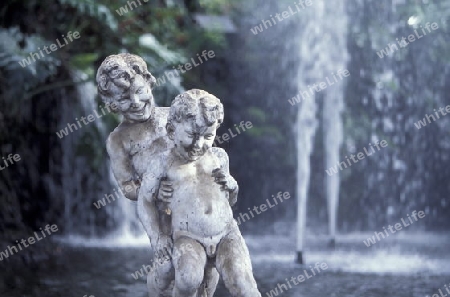 Europa, Atlantischer Ozean, Portugal, Insel, Madeira, Hauptstadt, Funchal, Garten, Jardin Municipal, Denkmal
Die Statue von Sao Francisco im Jardin Municipal in der Hauptstadt Funchal auf der Insel Madeira im Atlantischen Ozean, Portugal,      (Urs F