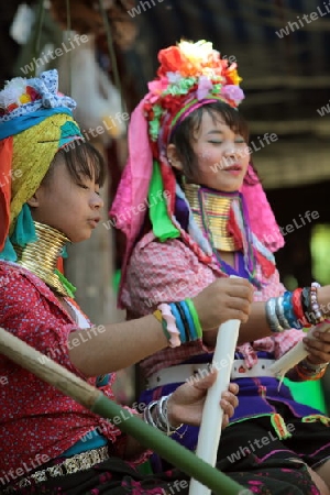 Eine Traditionell gekleidete Langhals Frau eines Paudang Stammes aus Burma lebt in einem Dorf noerdlich von Chiang Mai in Nord Thailand. 