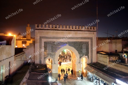 The blue Gate at the Bab Bou Jeloud in the old City in the historical Town of Fes in Morocco in north Africa.