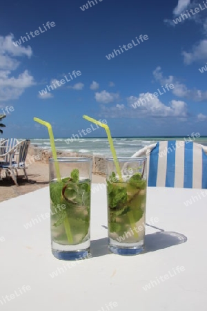 Der beste Mojito in ganz Kuba