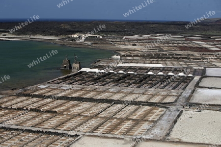 The Salinas in the Laguna of El Charco on the Island of Lanzarote on the Canary Islands of Spain in the Atlantic Ocean.