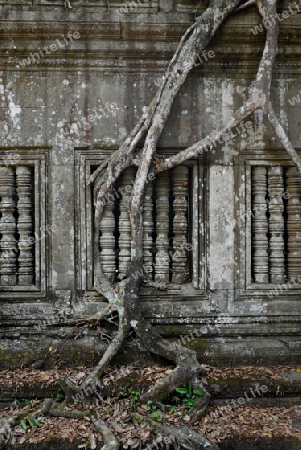 The Tempel Ruin of  Beng Mealea 32 Km north of in the Temple City of Angkor near the City of Siem Riep in the west of Cambodia.