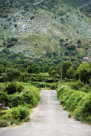 Europa, Osteuropa, Balkan. Montenegro, Skadar, See, Landschaft, Godinje, Strasse, Bergstrasse,  