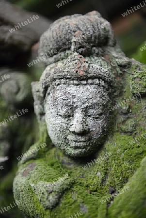 Traditionelle Figuren stehen im Garten von Ban Phor Linag Meuns Terracota Art zum Verkauf bereit dies im Terracota Garden in Chiang Mai im norden von Thailand in Suedostasien.